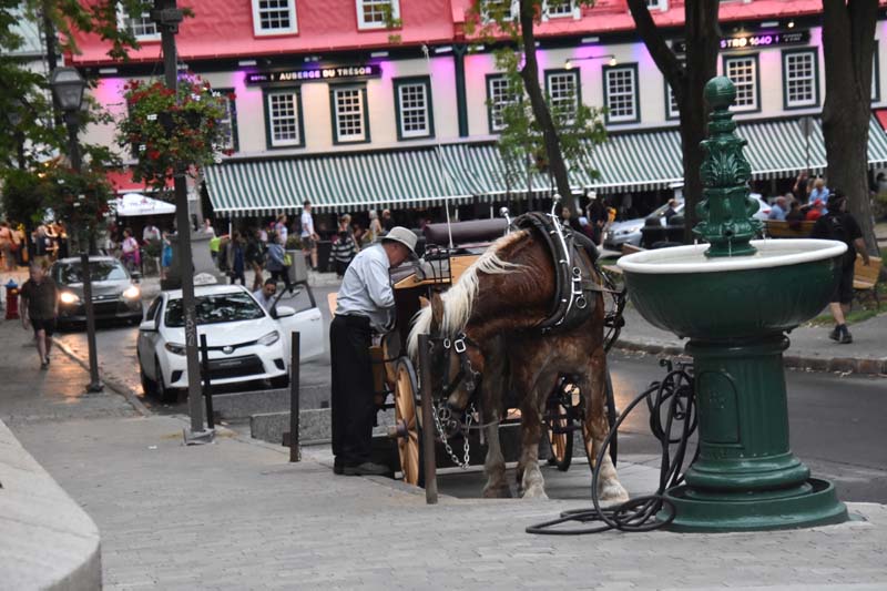 19-09_Queb_0376_GA2_7776