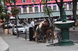 19-09_Queb_0376_GA2_7776